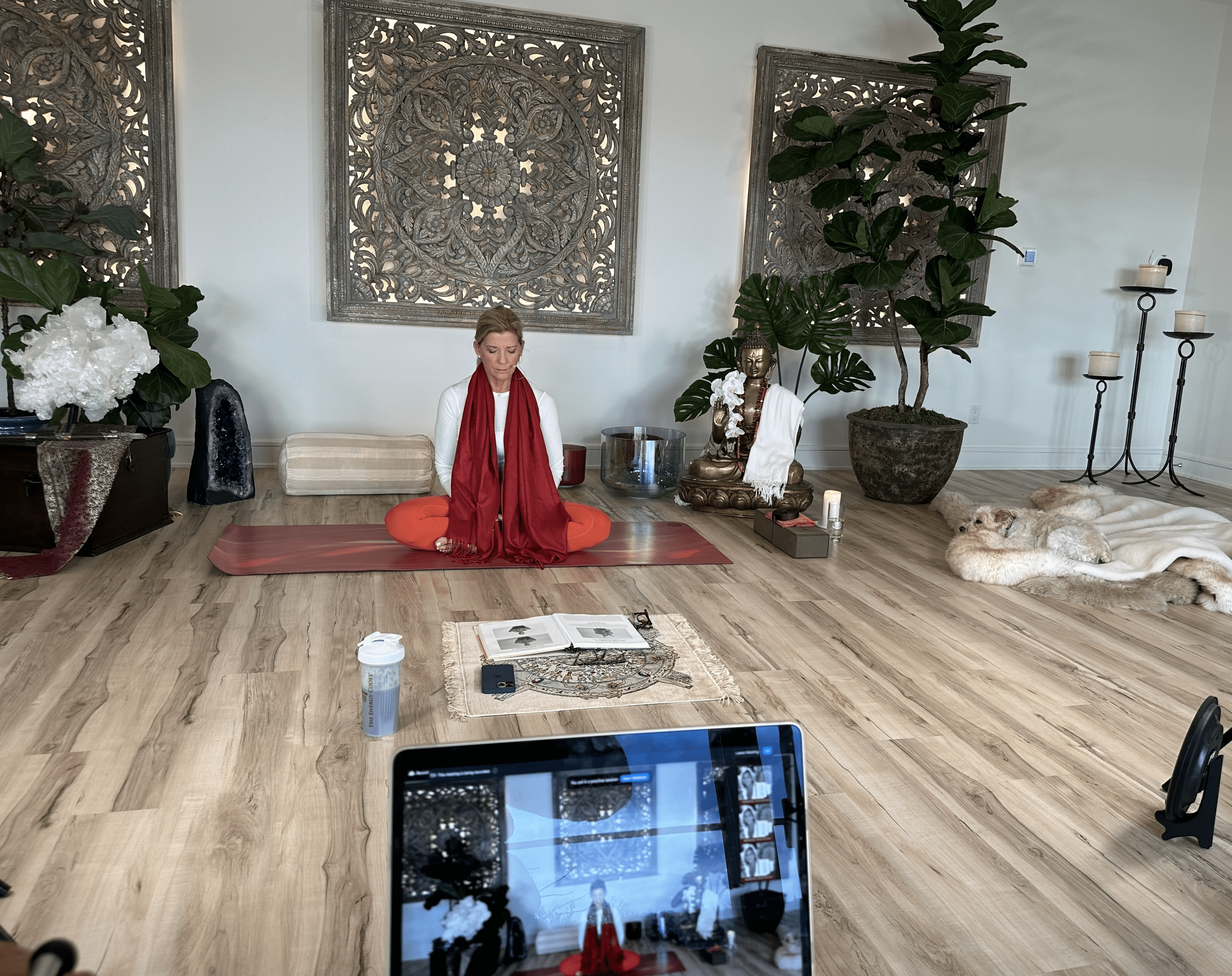 078763AF-2F50-41B0-8DDC-C40B3A3E1142_1_201_a