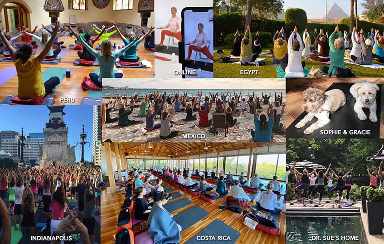 Collage-BAY-2021-W-TEXT-72