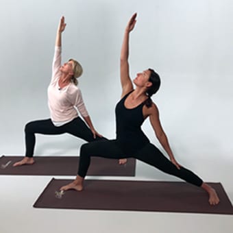 FREE-BA-Yoga-340x340-Order-Form