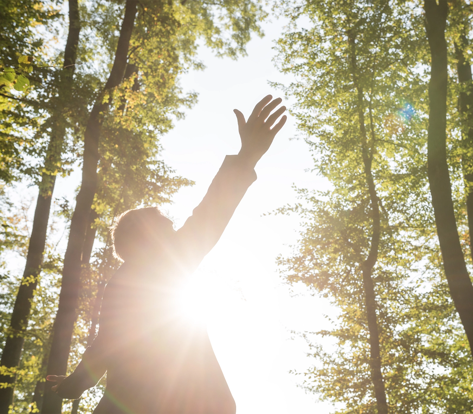 HandsInAir_1600x1400 copy